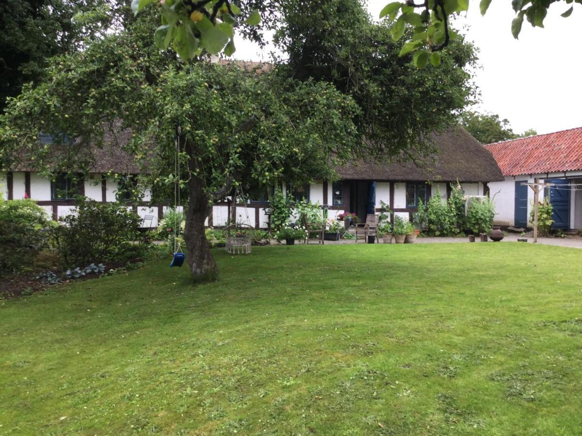 Bed and Breakfast Filippavej 80 Vester-Skerninge Экстерьер фото